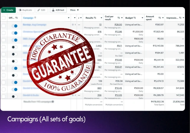Meta Ads Manager live campaign results